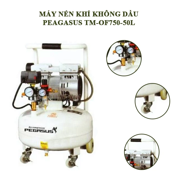 Tại sao nên mua máy nén khí không dầu Pegasus TM-OF750-50L?