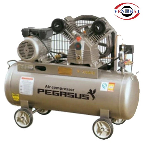 Máy nén khí Pegasus TM-W-1.6/10-500L