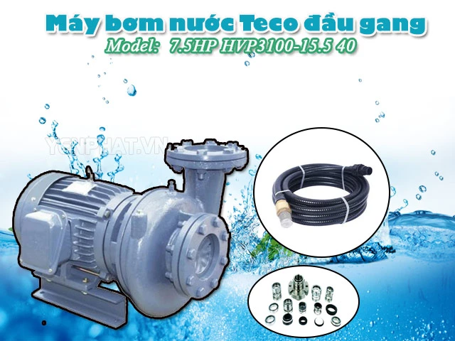 Model máy bơm nước ly tâm đầu gang Teco 7.5HP HVP3100-15.5 40 có kết cấu đặc biệt 
