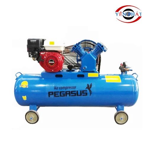 Máy nén khí đầu nổ chạy xăng Pegasus TM-V-0.25/8-100L