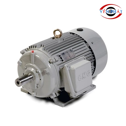 Motor cho máy rửa xe 11kW