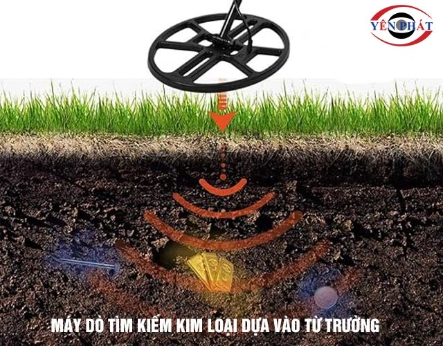 nguyên lý máy dò kim loại