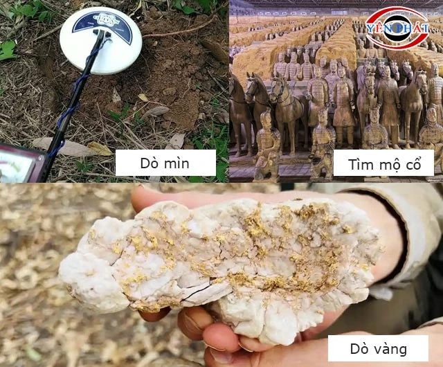Ứng dụng nổi trội của TM-88