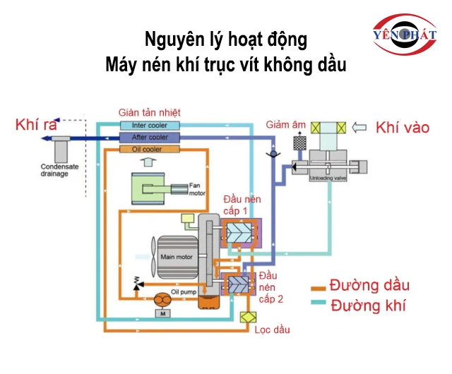 Nguyên lý hoạt động máy nén khí trục vít không dầu 