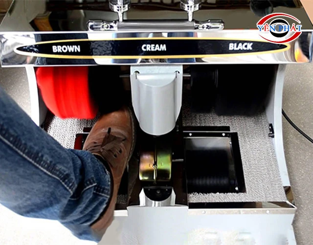 Đưa giày vào chổi đánh bụi