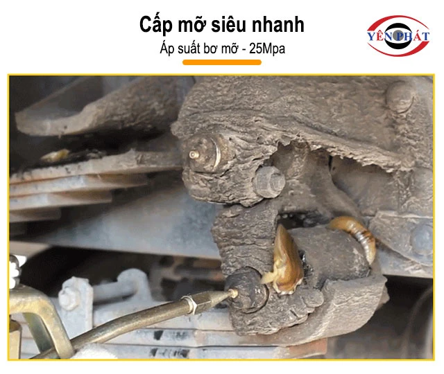 cấp mỡ nhanh
