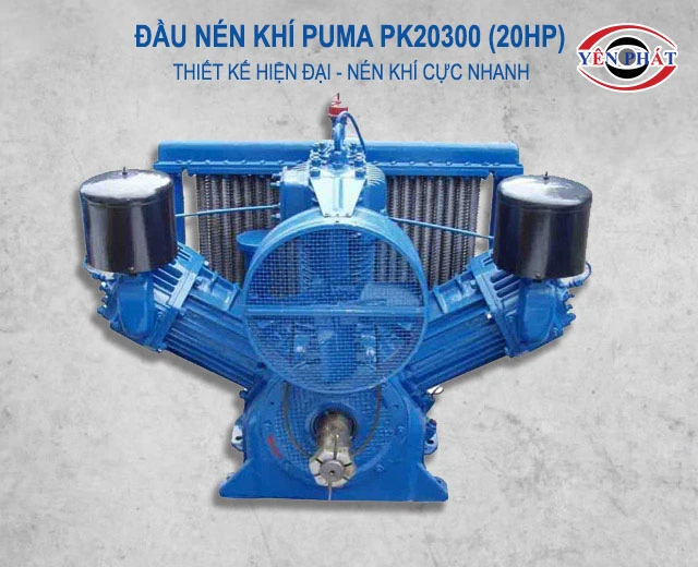 Đầu nén khí Puma PK20300 (20HP)