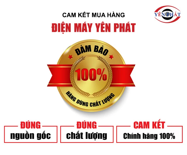 cam kết của yên phát