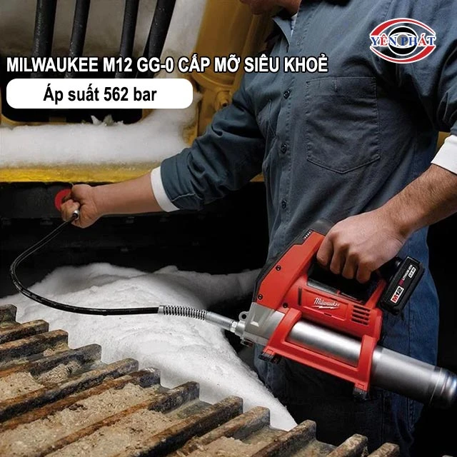 cấp mỡ siêu khoẻ
