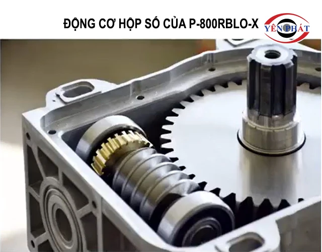 Động cơ, hộp số