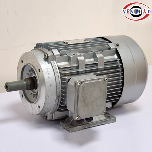 Motor cho máy rửa xe 5,5kW 3