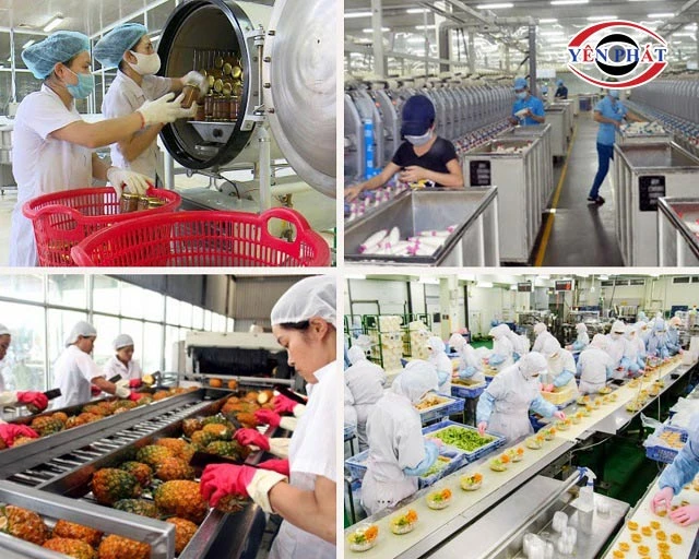 ứng dụng của FujiE HM-WKM-1500P tại ngành thực phẩm