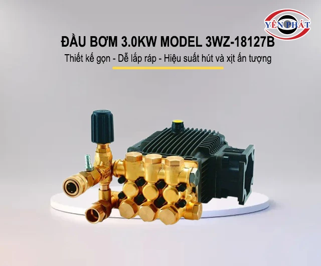 thiết kế của Đầu bơm 3.0kW model 3WZ-18127B