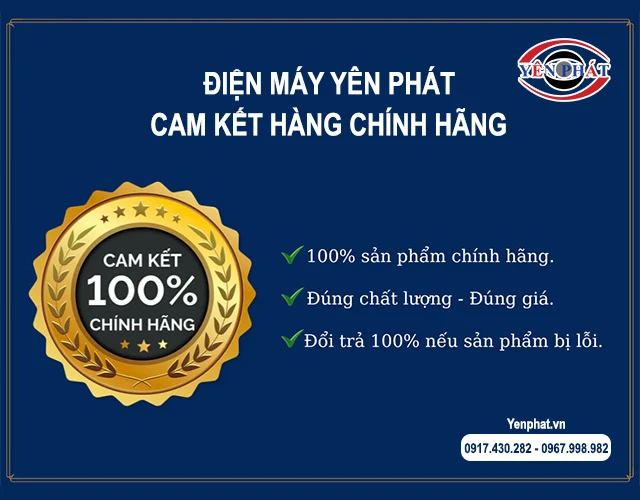 yên phát cam kết Swing Gate TC-BZ307 chính hãng