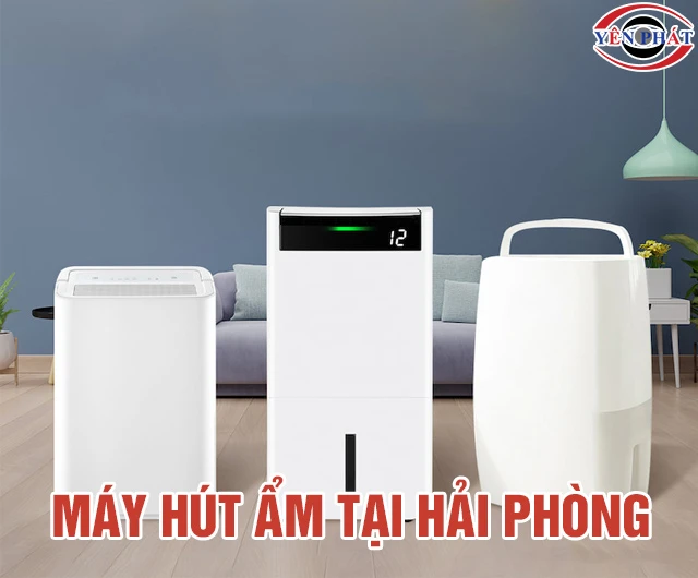 Mua máy hút ẩm tại Hải Phòng: Chính hãng, Giao hỏa tốc