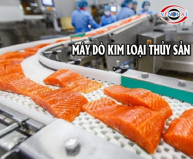 Báo giá máy dò kim loại trong thủy sản - Mới cập nhật 2026