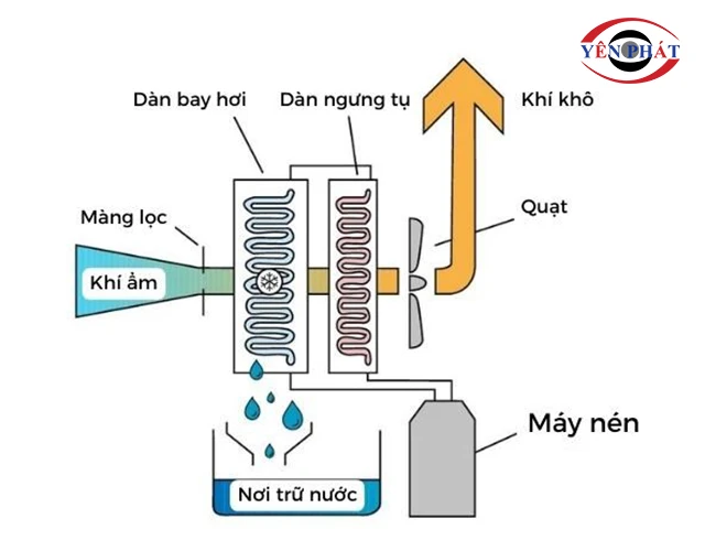 nguyen lý hoạt động của Máy hút ẩm Kumisai KMS-150LD