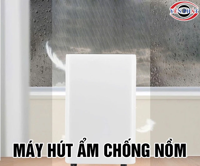 Top 11+ Máy hút ẩm chống nồm: Đẹp - Nhỏ gọn - Hiệu quả cao