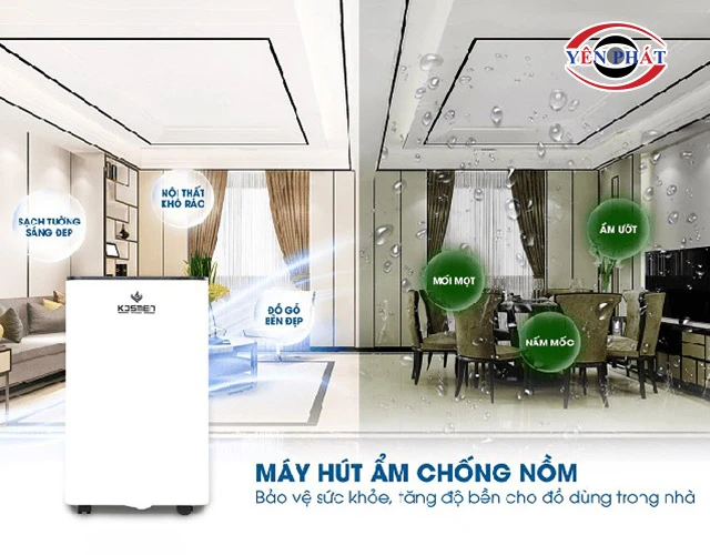 hút ẩm siêu nhanh