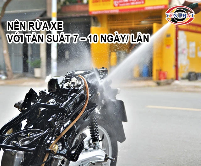 tần suất rửa xe máy