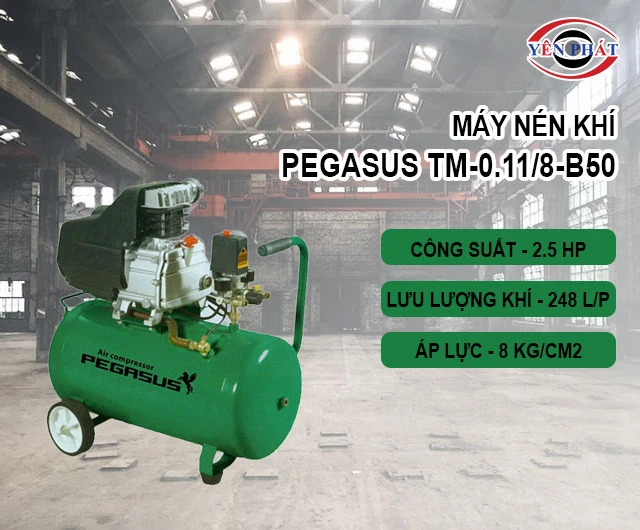 công suất của máy khí nén Pegasus TM-0.11/8-B50