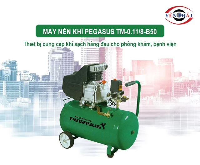 máy khí nén Pegasus TM-0.11/8-B50