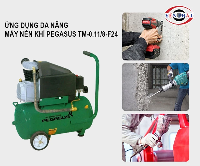 ứng dụng đa dạng của Pegasus TM-0.11/8-F24