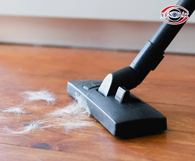Máy hút bụi hút lông động vật