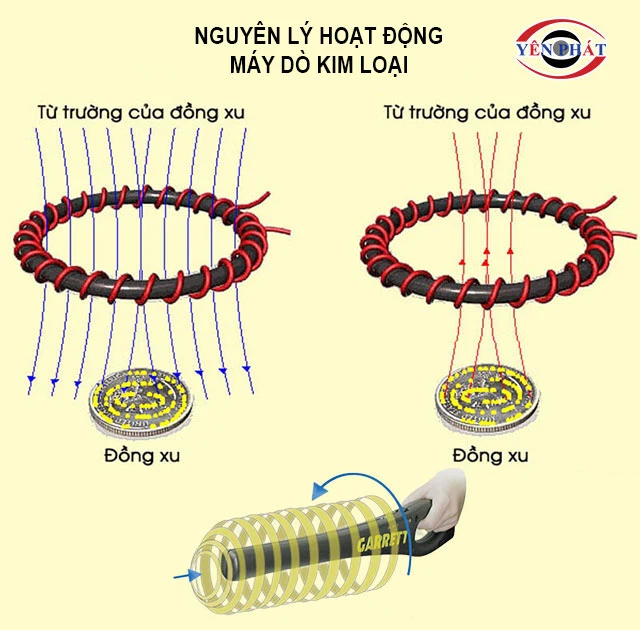 Nguyên lý hoạt động của máy dò kim loại