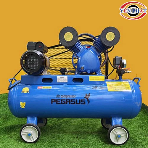 Máy nén hơi Pegasus TM-V-0.25/8-70L 4