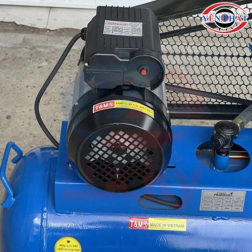 Máy nén không khí mini Pegasus TM-V-0.12/8-70L 5
