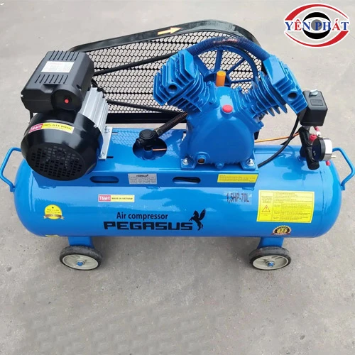 Máy nén không khí mini Pegasus TM-V-0.12/8-70L 3