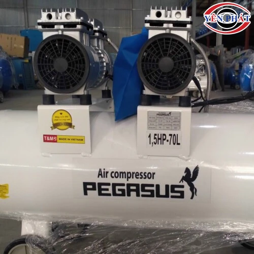 Máy nén không khí không dầu Pegasus TM-OF550-70L 5
