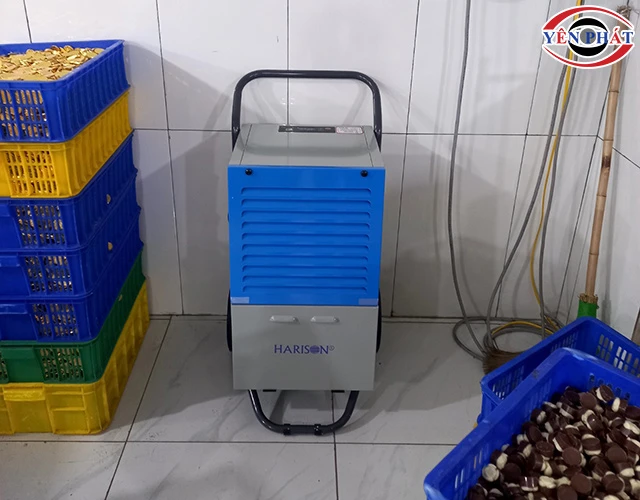 Ứng dụng thực tế ít ai biết của máy hút ẩm Harison
