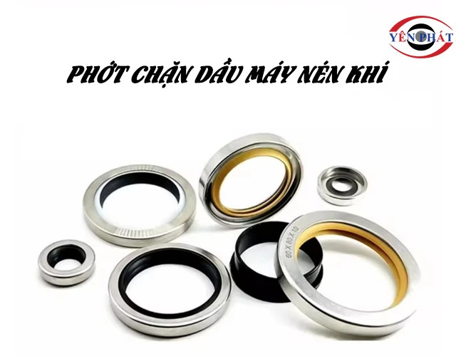 Giải đáp: phớt chặn dầu máy nén khí là gì?