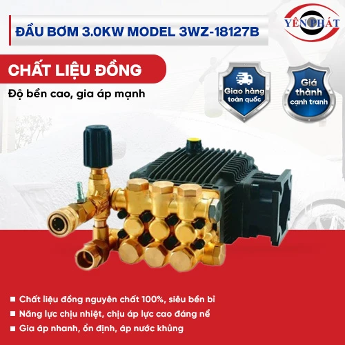 Đầu bơm 3.0kW model 3WZ-18127B 2