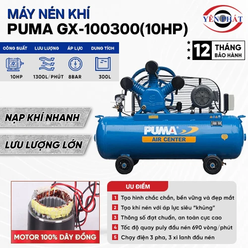 Máy nén khí Puma GX-100300(10HP) 2