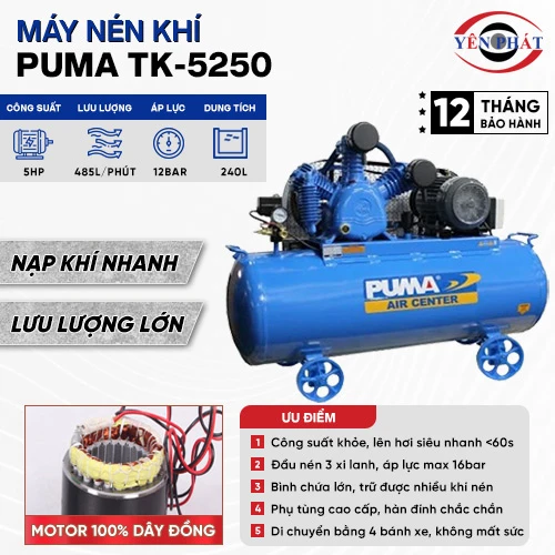 Máy nén khí PUMA TK-5250 2