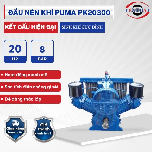 Đầu nén khí Puma Đài Loan PK20300 (20HP) 2