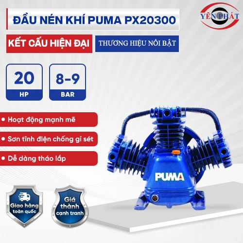 Đầu nén khí Puma PX20300 (20HP) 2