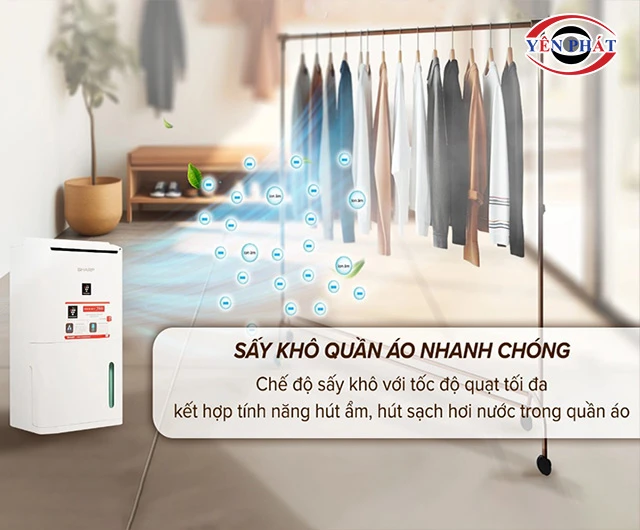 chọn mua máy hút ẩm tích hợp tính năng sấy quần áo