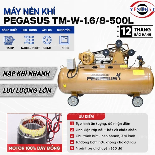Máy nén khí dây đai Pegasus TM-W-1.6/8-500L 2