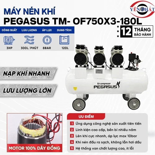 Máy nén khí không dầu giảm âm Pegasus TM-OF750x3-180L 2