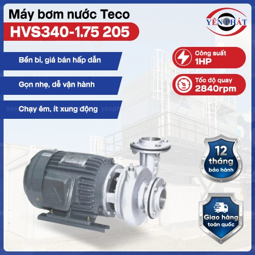 Máy bơm ly tâm dạng xoáy Teco đầu inox 1HP HVS340-1.75 205 2