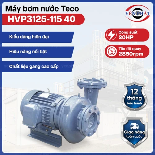Máy bơm nước ly tâm Teco đầu gang 20HP HVP3125-115 40 2