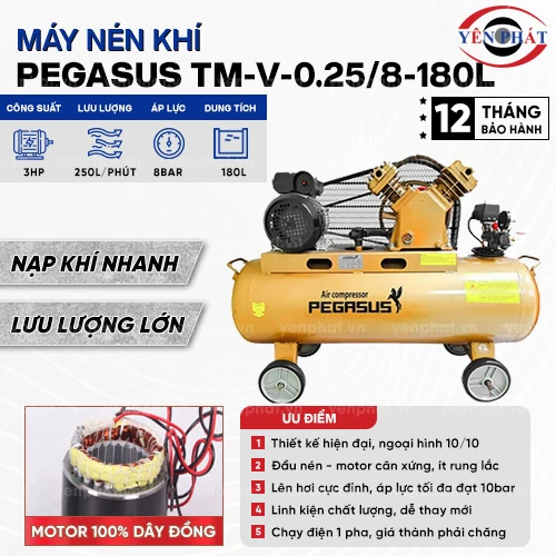 Máy nén khí công nghiệp Pegasus TM-V-0.25/8-180L 2