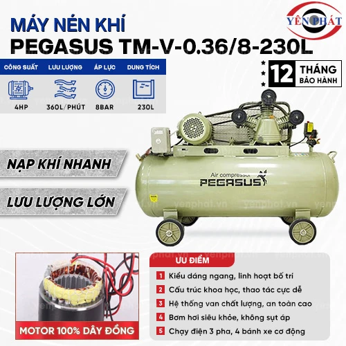 Máy nén khí Pegasus TM-V-0.36/8-230L 2