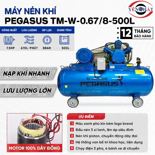 Máy nén khí Pegasus TM-W-0.67/8-500L 2