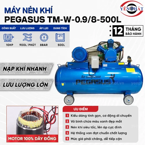 Máy nén khí Pegasus TM-W-0.9/8-500L 2