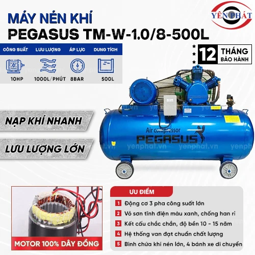 Máy nén khí pegasus TM-W-1.0/8-500L 2